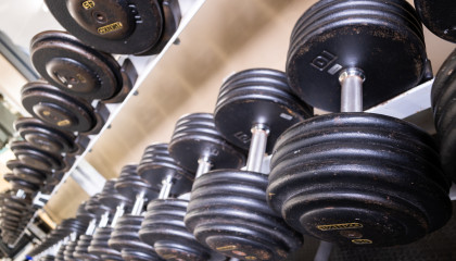 Free Weights (msh 40)